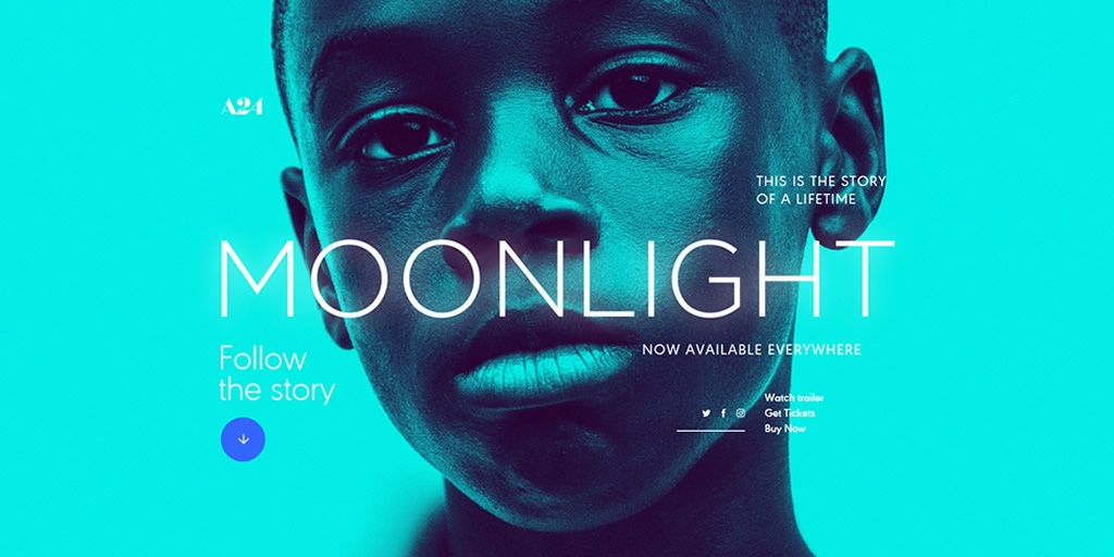 Best Use of Photography - Moonlight Movie Website