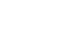 Pepsico logo