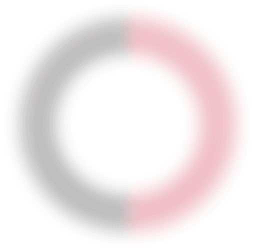 objectives decorative illustration 3