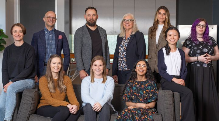 UX team