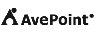 AVE Point