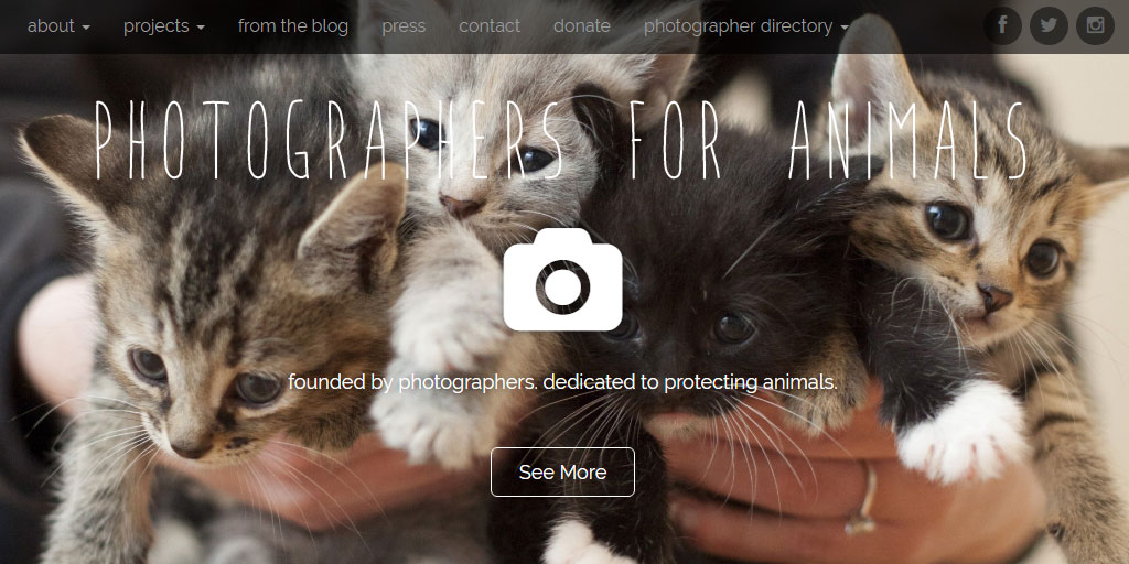 Photographers for Animals